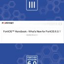 FortiOS Version 6.0.1