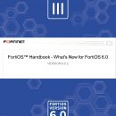 FortiOS 6.0.2